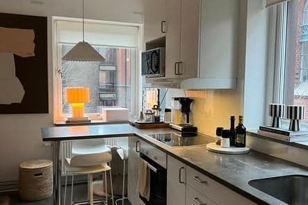 Möblerad etta i centrala Lund