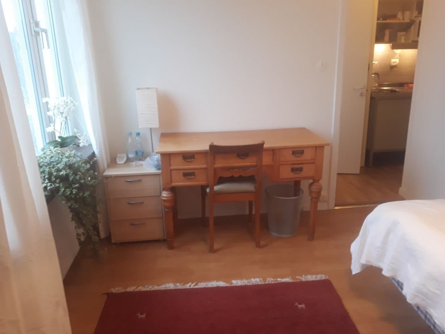 Dag Hammarskjölds väg